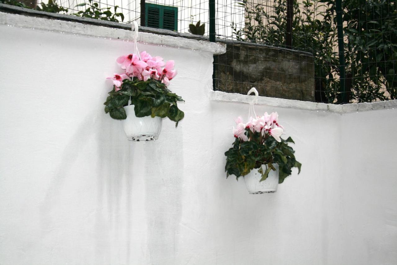 Willkommen In Einem Private Garden Bari Exterior photo
